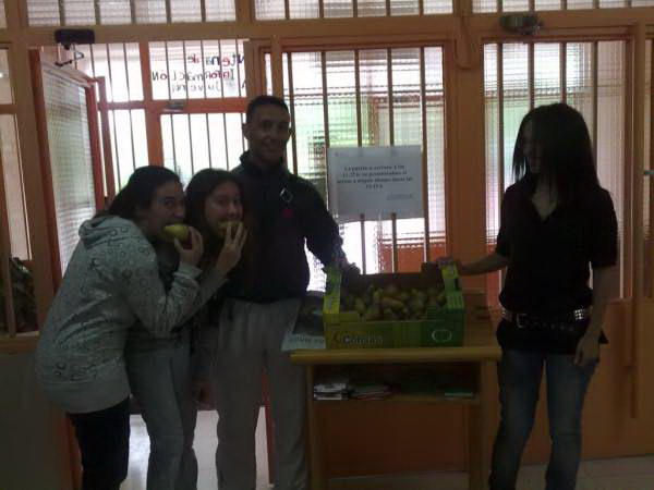 2011 alimentacionsaludable