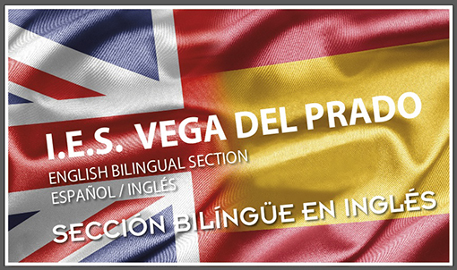 bandera bilingue